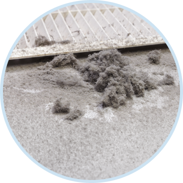 Indoor Air Quality Testing